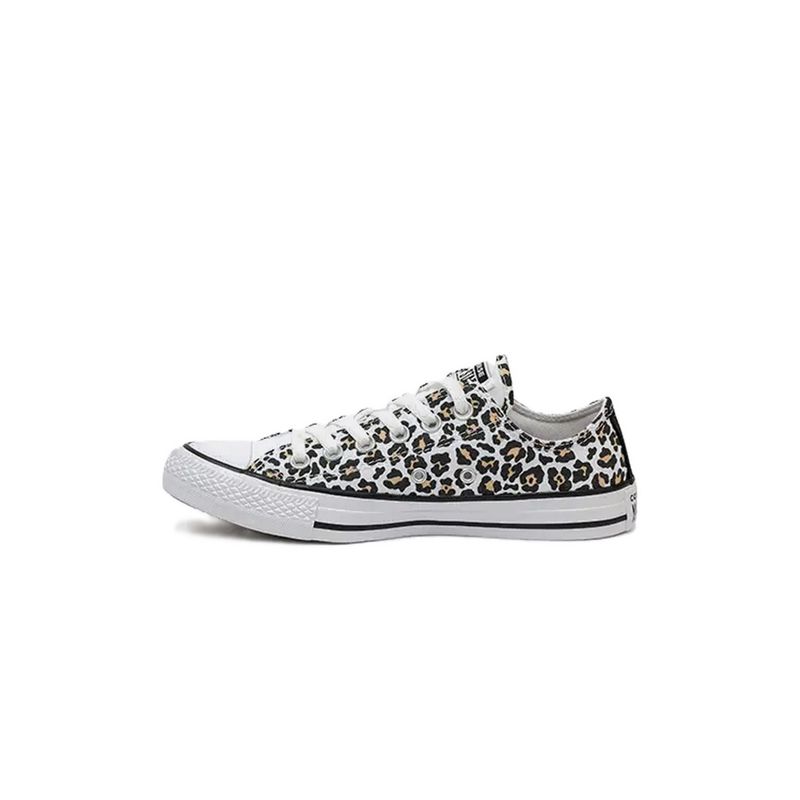 Talle-36-5